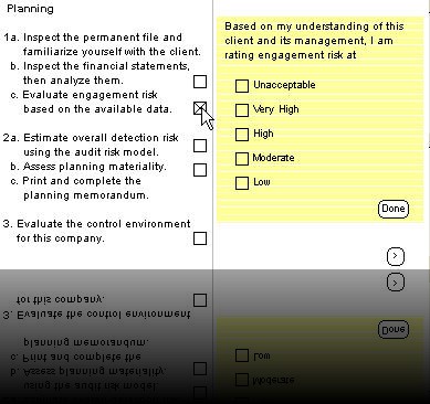 Screen 4 - Planning section of the interactive audit program [judgments must be made and conclusions recorded here].