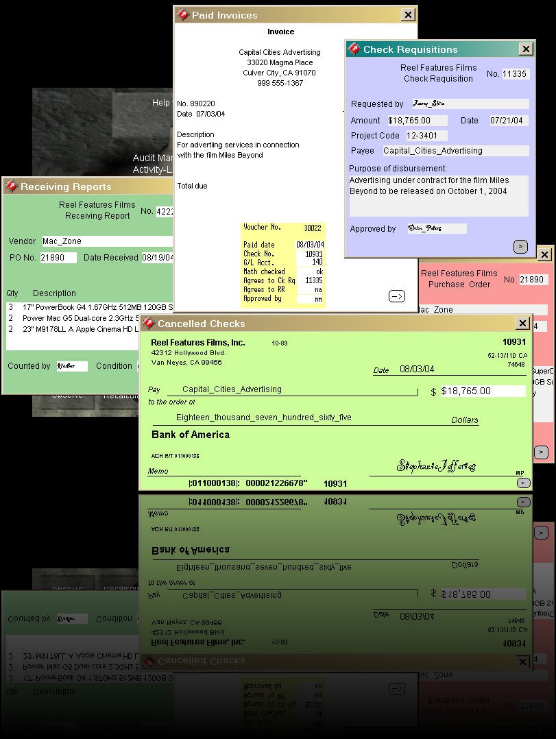 Screen 12 - Testing controls on paid invoices [SOX 404 addon allows testing operating effectiveness of internal control].